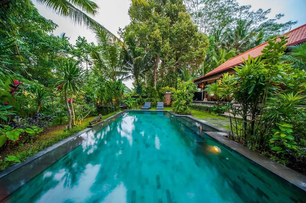 Luxury 3Br Infinity Jungle View Aashaya Villa Ubud
