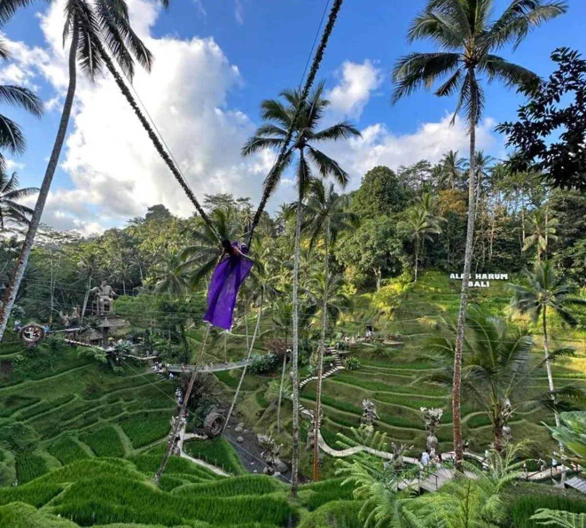 Luxury 3Br Infinity Jungle View Aashaya Villa Ubud Ubud (Bali)